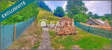 photo no. 1
