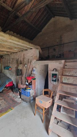 photo no. 15