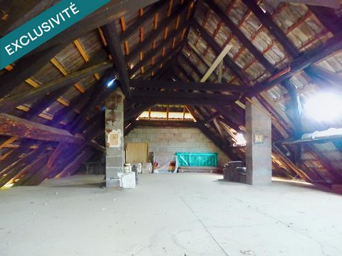 photo no. 5