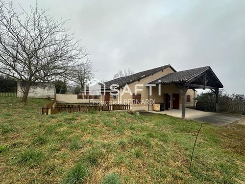 photo no. 4