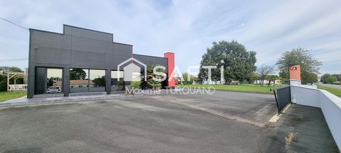 photo no. 12