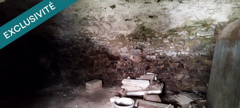 photo no. 5