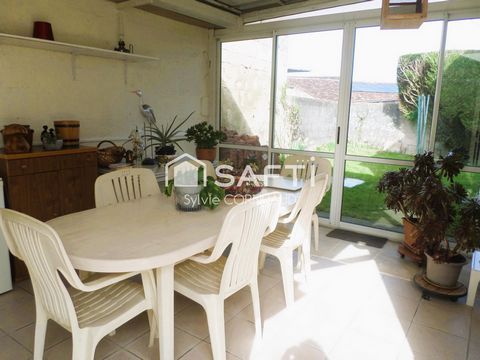 photo no. 10