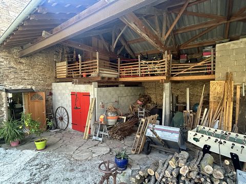 photo no. 12