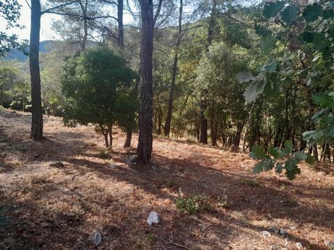 Terrain constructible