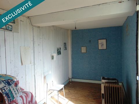 photo no. 11