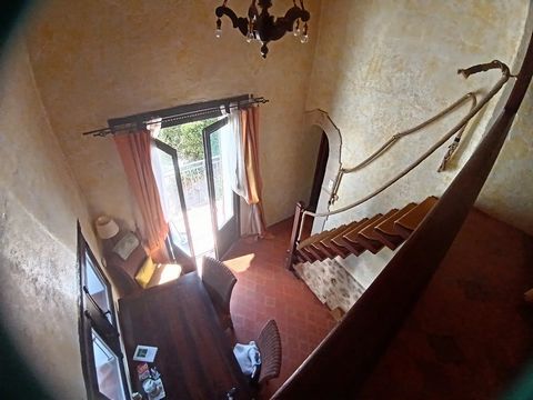 photo no. 24