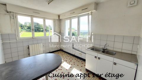 photo no. 12