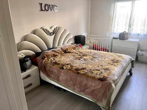 photo no. 10