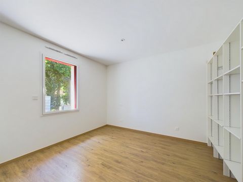 photo no. 8