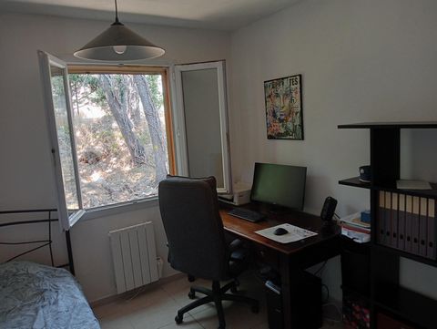 photo no. 6
