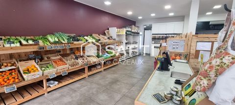 photo no. 12