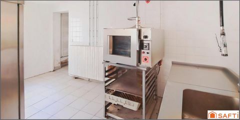 photo no. 6