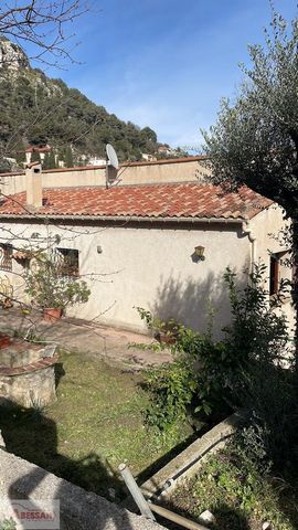 photo no. 12