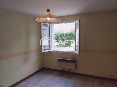 photo no. 8