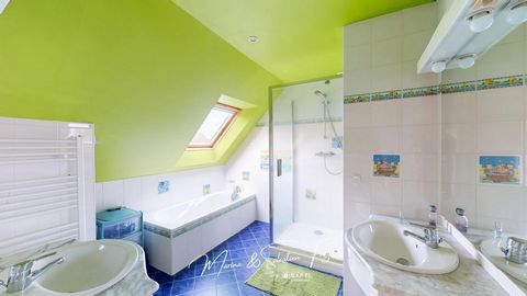 photo no. 13