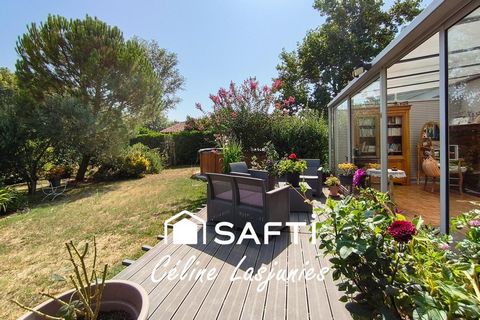 photo no. 12