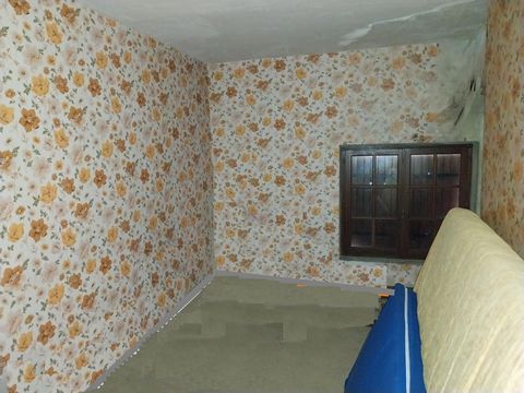 photo no. 11