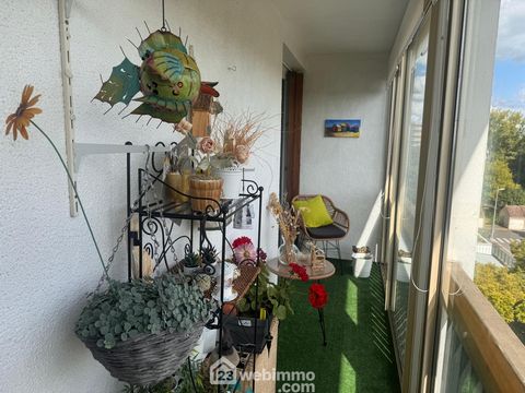 photo no. 10