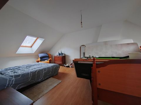 photo no. 7