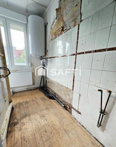 photo no. 12