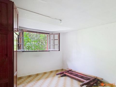 photo no. 8