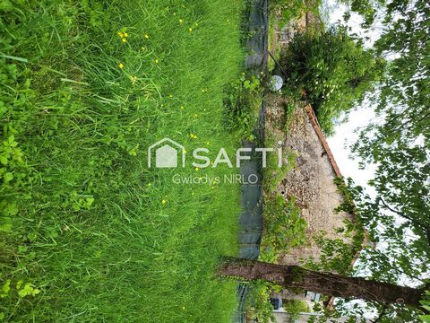photo no. 15