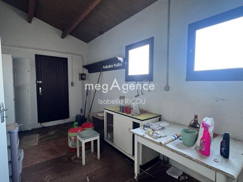 photo no. 16