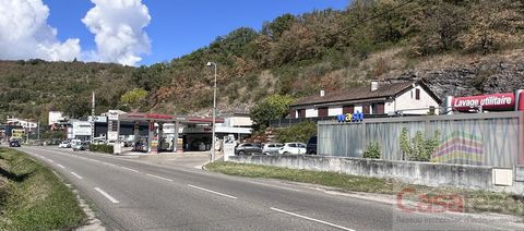 photo no. 1