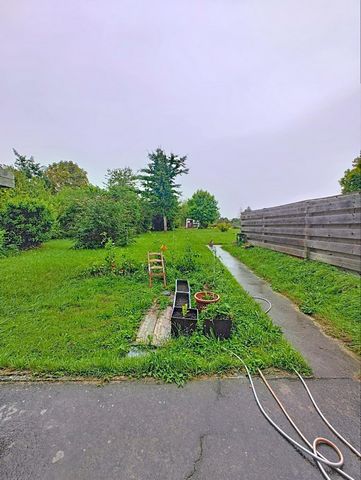photo no. 10