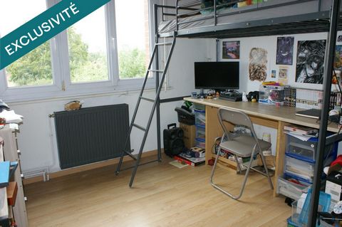 photo no. 7