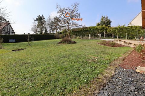 photo no. 10