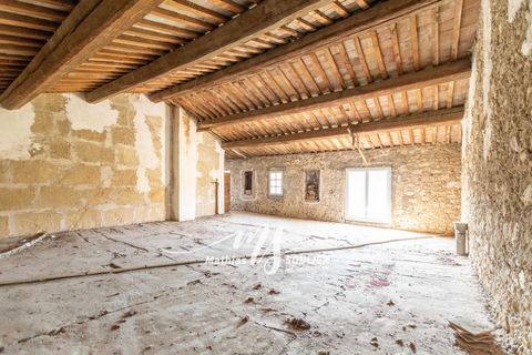 photo no. 15