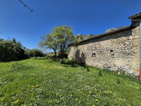 photo no. 2