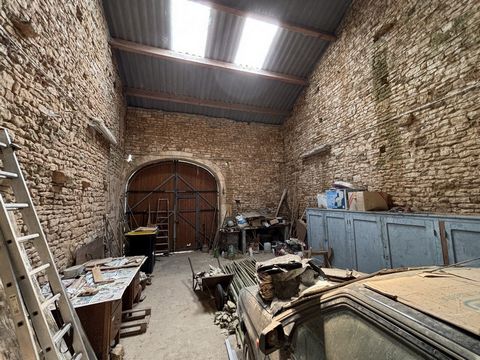 photo no. 9