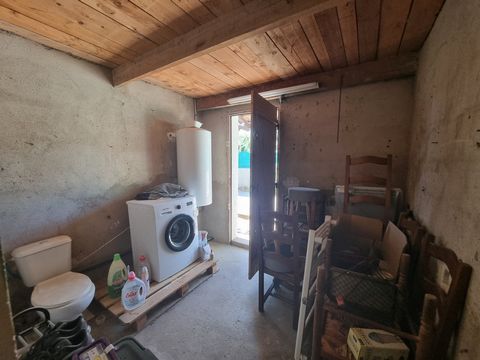 photo no. 20
