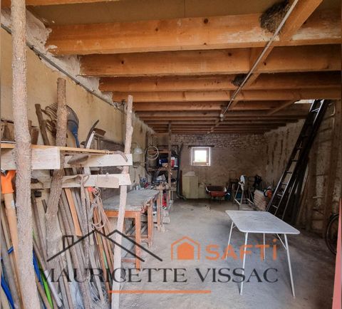photo no. 16