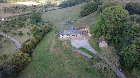 photo no. 12