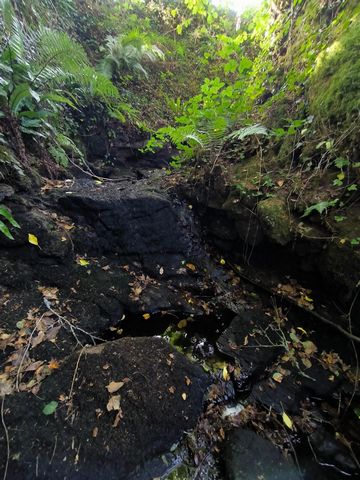 photo no. 2