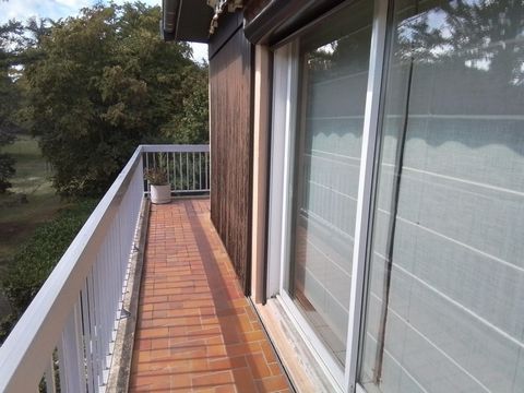 photo no. 12