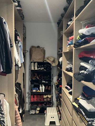 photo no. 11