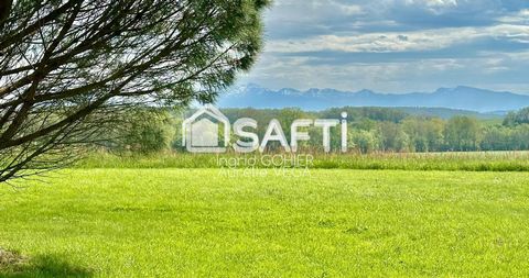 photo no. 14