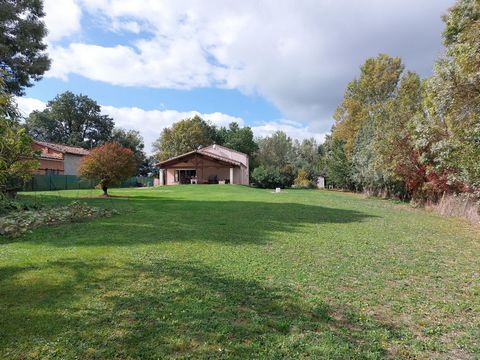 photo no. 8