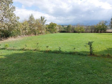 photo no. 9