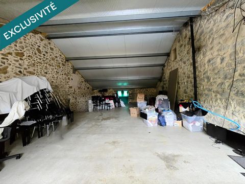 photo no. 7
