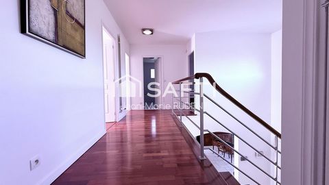 photo no. 5