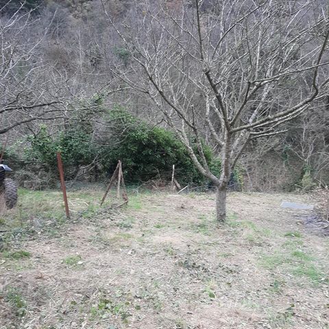 photo no. 9