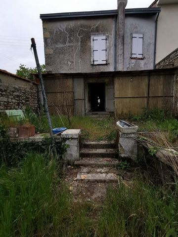 photo no. 6