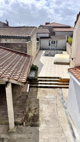 photo no. 11