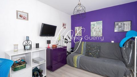 photo no. 10